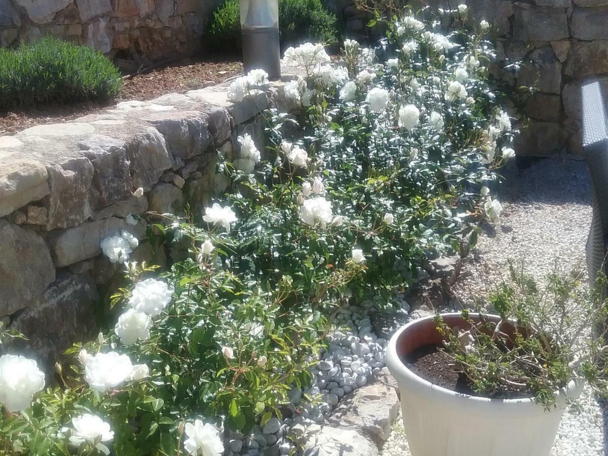 La Bastide Saint Anne Guest House Exterior photo
